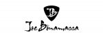 joebonamassa Coupons